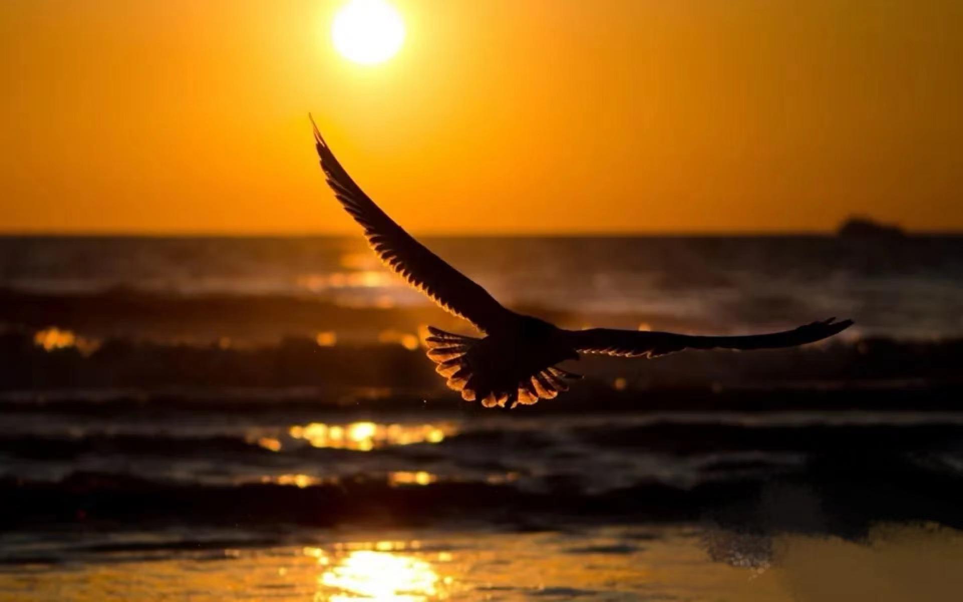 BuildConnect Solutions logo 3